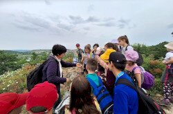 Természetiskolai túra - találkozás egy erdei siklóval