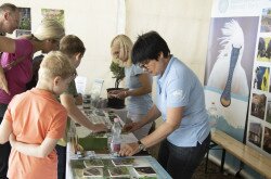 Természetismereti játék a BfNPI standjánál