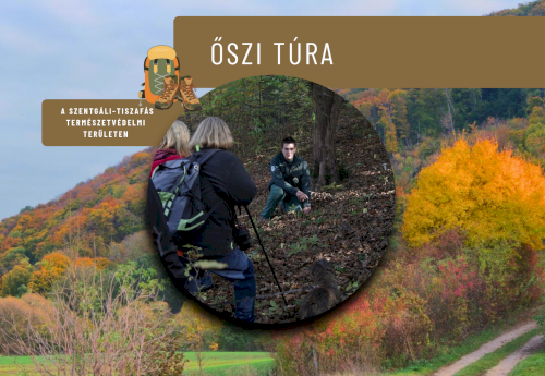 Őszi túra a 75 éve védett Szentgáli-tiszafás Természetvédelmi Területen