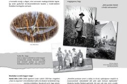 Természetvédelmünk bölcsője: Vörs (tábla)