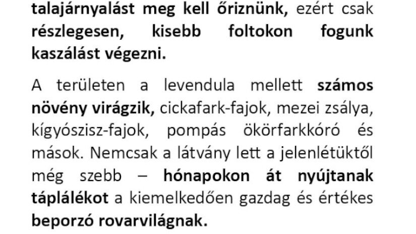 területkezelésről információ