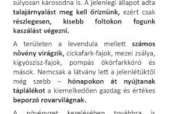 területkezelésről információ