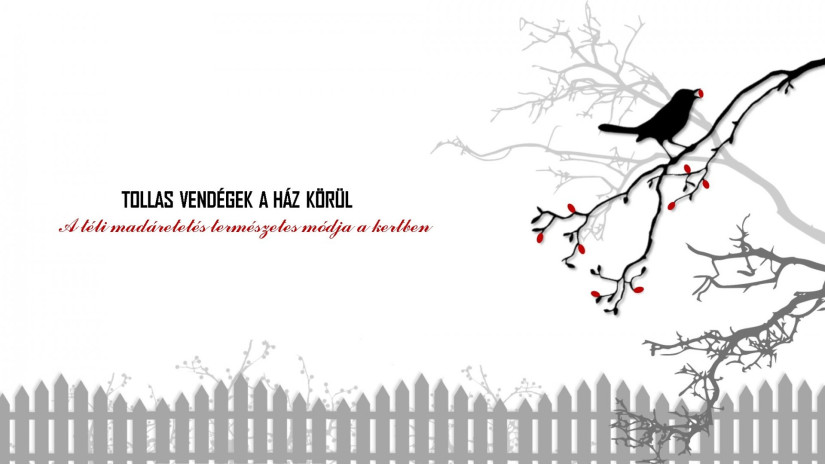 slidebg4 Tollas vendégek a ház körül