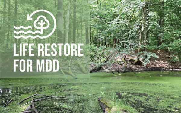 LIFE RESTORE for MDD