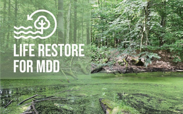 LIFE RESTORE for MDD