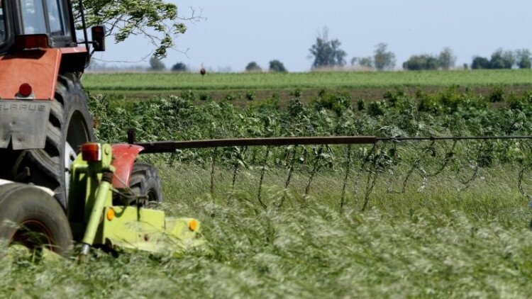 Natura 2000 gyepterületeken történő kaszálás bejelentése