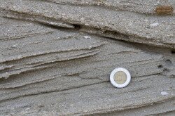 Várpalotai homokbánya Természetvédelmi Terület