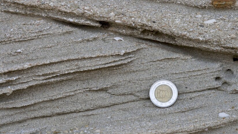 Várpalotai homokbánya Természetvédelmi Terület