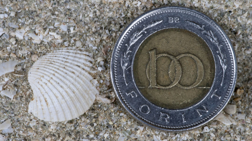 Várpalotai homokbánya Természetvédelmi Terület