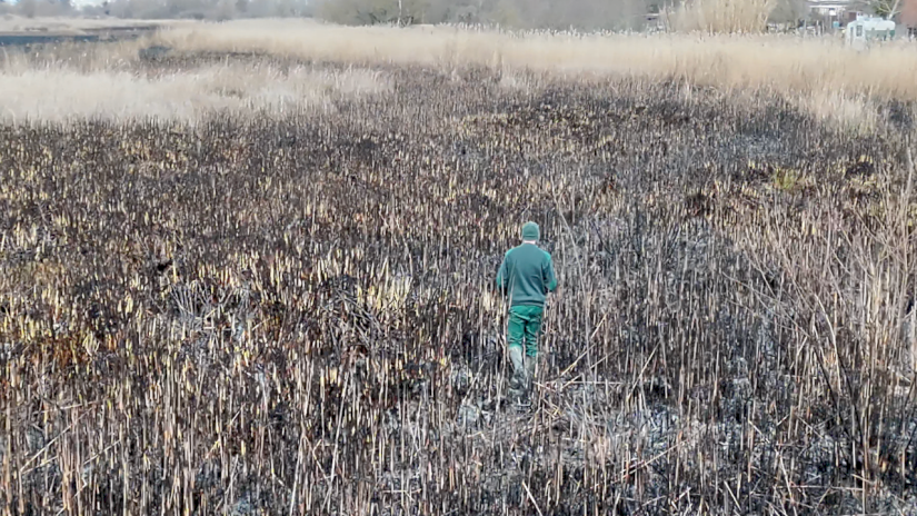Vegetációs tűzeset - Fonyód