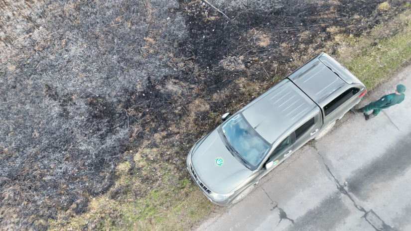 Vegetációs tűzeset - Fonyód