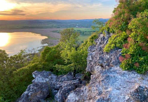 Natura 2000 sites with management plans