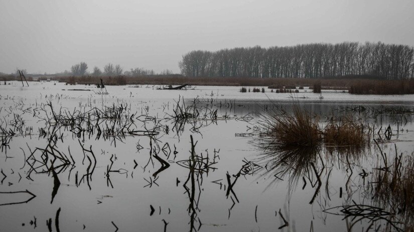 Vizes élőhely-rekonstrukciók a Balatonnál