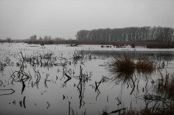 Vizes élőhely-rekonstrukciók a Balatonnál