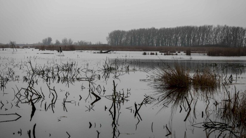 Vizes élőhely-rekonstrukciók a Balatonnál