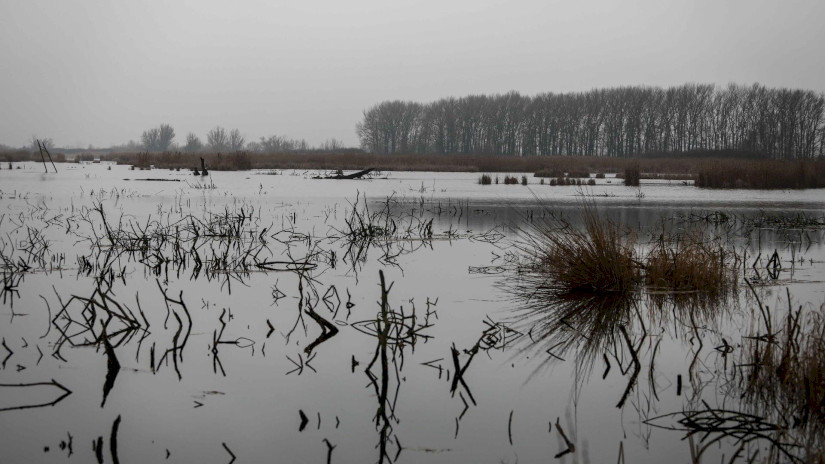 Vizes élőhely-rekonstrukciók a Balatonnál