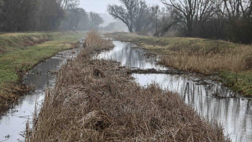 Vizes élőhely-rekonstrukciók a Balatonnál