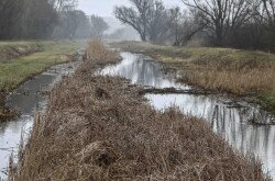 Vizes élőhely-rekonstrukciók a Balatonnál