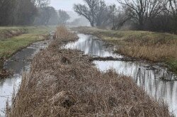 Vizes élőhely-rekonstrukciók a Balatonnál