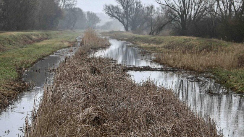 Vizes élőhely-rekonstrukciók a Balatonnál