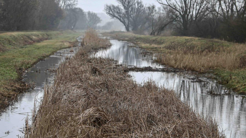Vizes élőhely-rekonstrukciók a Balatonnál