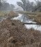 Vizes élőhely-rekonstrukciók a Balatonnál