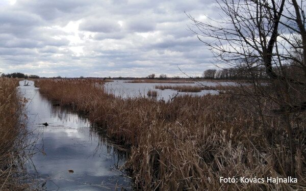 KEHOP-4.1.0-15-2016-00056 Vizes élőhely-rekonstrukciók a Balaton-felvidéki Nemzeti Park Igazgatóság Somogy- és Zala megyei területein