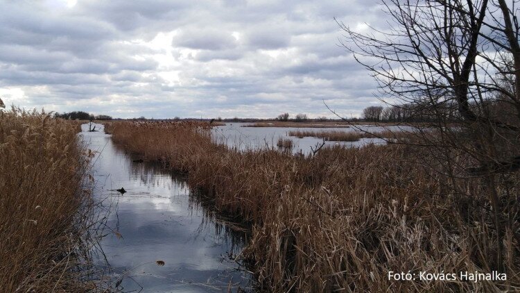 KEHOP-4.1.0-15-2016-00056 Vizes élőhely-rekonstrukciók a Balaton-felvidéki Nemzeti Park Igazgatóság Somogy- és Zala megyei területein