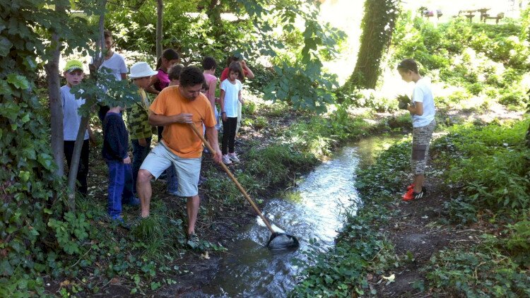 A Balatonba folyó patakok makrogerinctelen élővilága - vízvizsgálati program