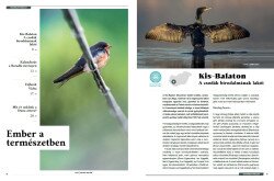 VM magazin | Kis-Balaton cikk 1. oldal