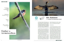 VM magazin | Kis-Balaton cikk 1. oldal