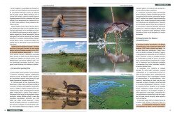 VM magazin | Kis-Balaton cikk 2-3. oldal
