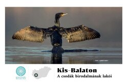 VM magazin | Kis-Balaton címkép