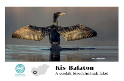 VM magazin | Kis-Balaton címkép