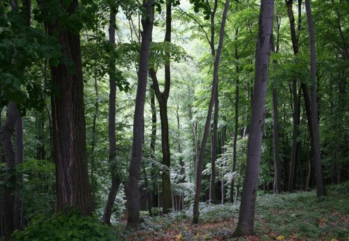 Bakony-Gebirge, Lehrpfade