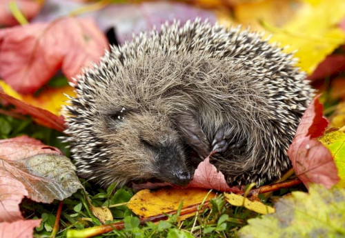 Was kannst du für sie tun?