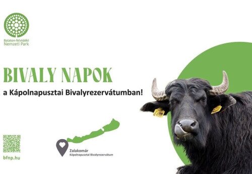 Water Buffalo Reserve, Kápolnapuszta