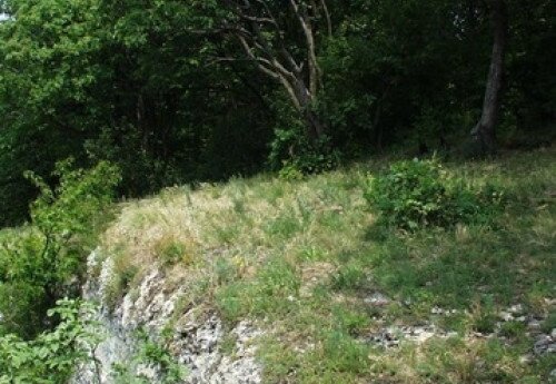 Sümegi 'Fehér-kövek' Naturschutzgebiet und Waldschutzgebiet