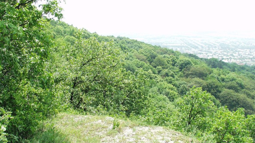 Weisse Steine, Sümeg