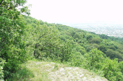 Weisse Steine, Sümeg