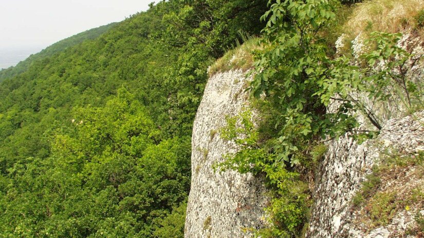 Weisse Steine, Sümeg