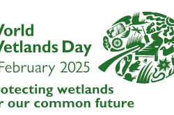 World Wetlands Day 2025 - logo