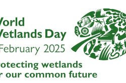 World Wetlands Day 2025 - logo