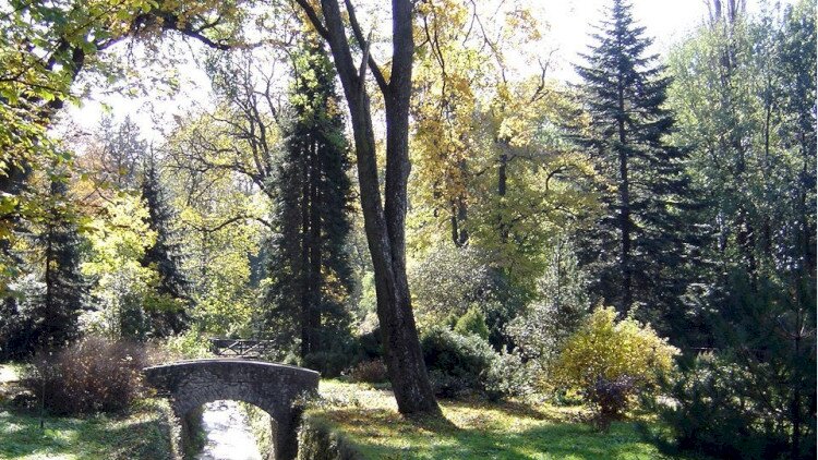 Zirci Arborétum TT
