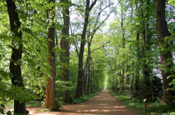 Zirci Arborétum