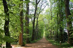 Zirci Arborétum